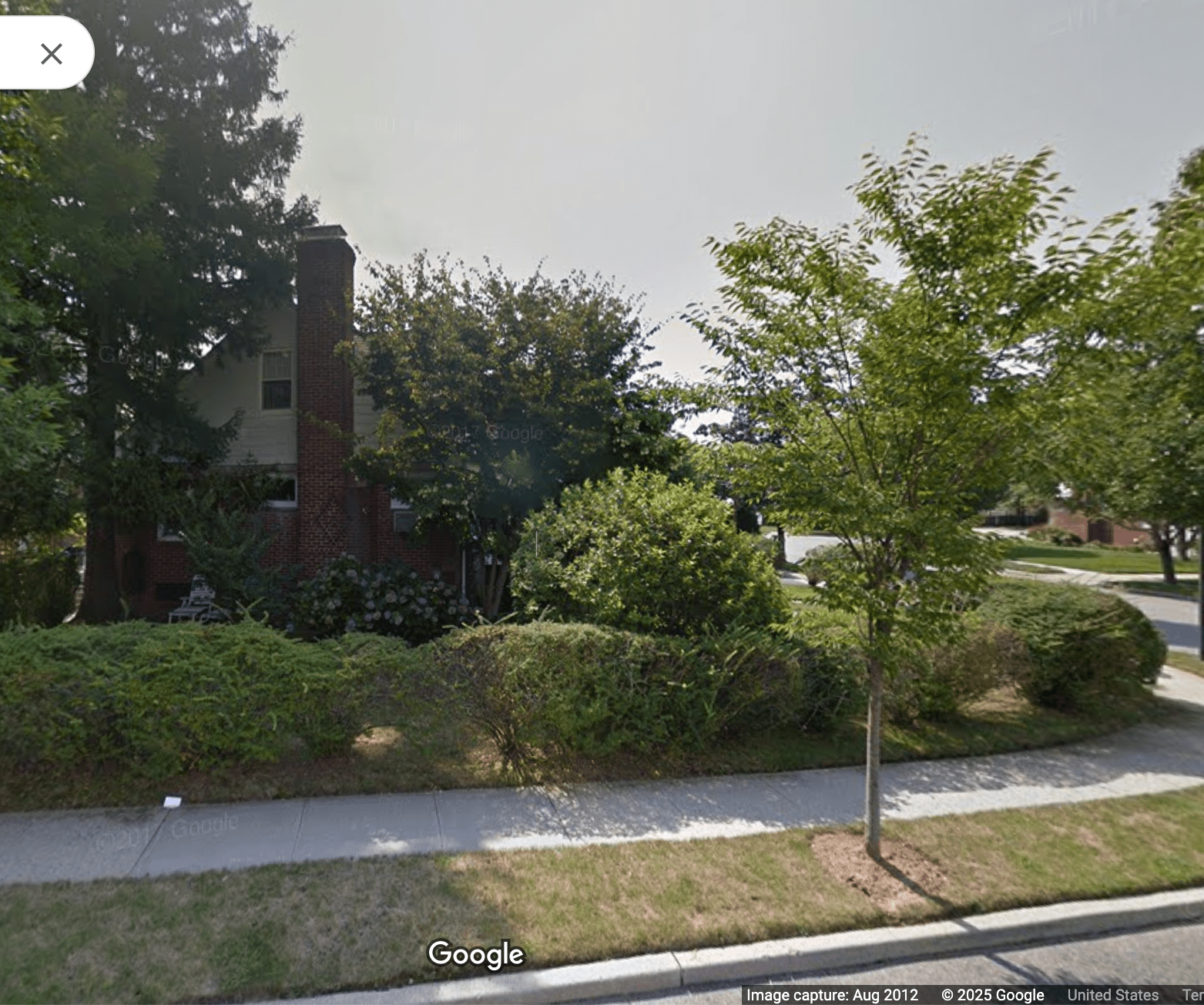 A suburban yard with trees and bushes, with a new tree on the periphery.